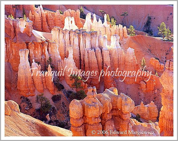 450326  Hoodoos lit up by morning sun light  